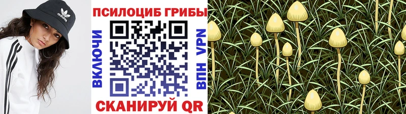 Галлюциногенные грибы прущие грибы  Лагань 